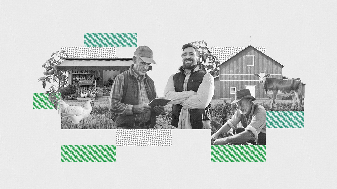 Brand Identity & Design for Credit Guarantee Fund